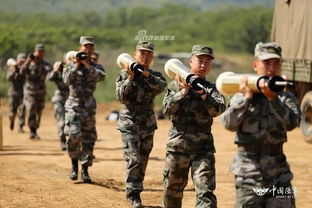 真.炸裂 我陸軍某部火力四射59d坦克表現亮眼