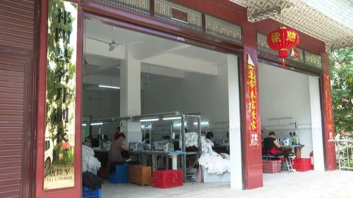 祁陽唐陸軍 身體殘疾辦工廠 帶領鄉親共致富