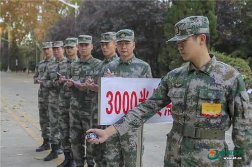 較量丨直擊陸軍第71集團軍的高級士官考核現場