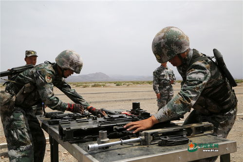 陸軍 國(guó)家安全的堅(jiān)實(shí)基石